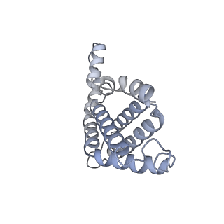 35568_8iml_h_v1-0
Rs2I-Rs2II, Rs1I-Rs1II, RbI-RbII cylinder in cyanobacterial phycobilisome from Anthocerotibacter panamensis (Cluster D)