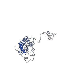 35569_8imm_4_v1-0
Rs2'I-Rs2'II, Rs1'I-Rs1'II, Rb'I-Rb'II cylinder in cyanobacterial phycobilisome from Anthocerotibacter panamensis (Cluster E)