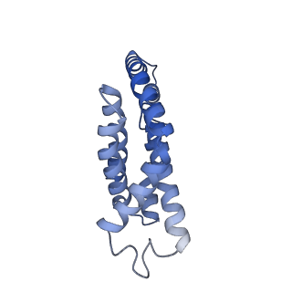 35569_8imm_B_v1-0
Rs2'I-Rs2'II, Rs1'I-Rs1'II, Rb'I-Rb'II cylinder in cyanobacterial phycobilisome from Anthocerotibacter panamensis (Cluster E)