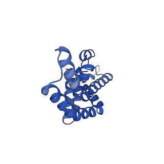 35569_8imm_D_v1-0
Rs2'I-Rs2'II, Rs1'I-Rs1'II, Rb'I-Rb'II cylinder in cyanobacterial phycobilisome from Anthocerotibacter panamensis (Cluster E)
