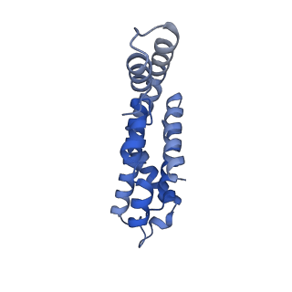 35569_8imm_E_v1-0
Rs2'I-Rs2'II, Rs1'I-Rs1'II, Rb'I-Rb'II cylinder in cyanobacterial phycobilisome from Anthocerotibacter panamensis (Cluster E)