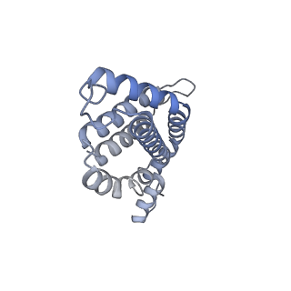 35569_8imm_G_v1-0
Rs2'I-Rs2'II, Rs1'I-Rs1'II, Rb'I-Rb'II cylinder in cyanobacterial phycobilisome from Anthocerotibacter panamensis (Cluster E)