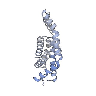 35569_8imm_H_v1-0
Rs2'I-Rs2'II, Rs1'I-Rs1'II, Rb'I-Rb'II cylinder in cyanobacterial phycobilisome from Anthocerotibacter panamensis (Cluster E)