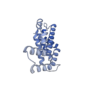 35569_8imm_I_v1-0
Rs2'I-Rs2'II, Rs1'I-Rs1'II, Rb'I-Rb'II cylinder in cyanobacterial phycobilisome from Anthocerotibacter panamensis (Cluster E)