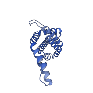 35569_8imm_J_v1-0
Rs2'I-Rs2'II, Rs1'I-Rs1'II, Rb'I-Rb'II cylinder in cyanobacterial phycobilisome from Anthocerotibacter panamensis (Cluster E)