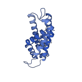 35569_8imm_K_v1-0
Rs2'I-Rs2'II, Rs1'I-Rs1'II, Rb'I-Rb'II cylinder in cyanobacterial phycobilisome from Anthocerotibacter panamensis (Cluster E)
