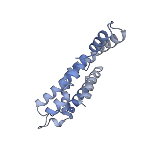 35569_8imm_N_v1-0
Rs2'I-Rs2'II, Rs1'I-Rs1'II, Rb'I-Rb'II cylinder in cyanobacterial phycobilisome from Anthocerotibacter panamensis (Cluster E)