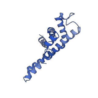35569_8imm_O_v1-0
Rs2'I-Rs2'II, Rs1'I-Rs1'II, Rb'I-Rb'II cylinder in cyanobacterial phycobilisome from Anthocerotibacter panamensis (Cluster E)