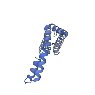35569_8imm_P_v1-0
Rs2'I-Rs2'II, Rs1'I-Rs1'II, Rb'I-Rb'II cylinder in cyanobacterial phycobilisome from Anthocerotibacter panamensis (Cluster E)