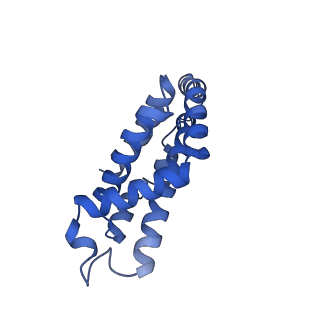 35569_8imm_Q_v1-0
Rs2'I-Rs2'II, Rs1'I-Rs1'II, Rb'I-Rb'II cylinder in cyanobacterial phycobilisome from Anthocerotibacter panamensis (Cluster E)