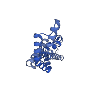 35569_8imm_S_v1-0
Rs2'I-Rs2'II, Rs1'I-Rs1'II, Rb'I-Rb'II cylinder in cyanobacterial phycobilisome from Anthocerotibacter panamensis (Cluster E)