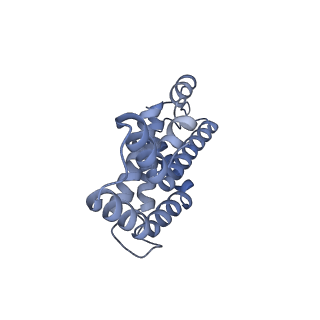 35569_8imm_T_v1-0
Rs2'I-Rs2'II, Rs1'I-Rs1'II, Rb'I-Rb'II cylinder in cyanobacterial phycobilisome from Anthocerotibacter panamensis (Cluster E)