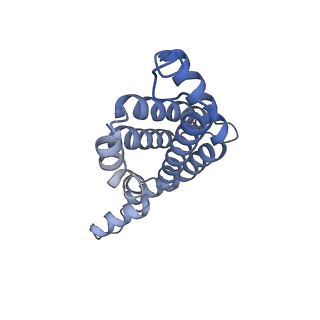 35569_8imm_U_v1-0
Rs2'I-Rs2'II, Rs1'I-Rs1'II, Rb'I-Rb'II cylinder in cyanobacterial phycobilisome from Anthocerotibacter panamensis (Cluster E)