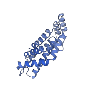 35569_8imm_V_v1-0
Rs2'I-Rs2'II, Rs1'I-Rs1'II, Rb'I-Rb'II cylinder in cyanobacterial phycobilisome from Anthocerotibacter panamensis (Cluster E)