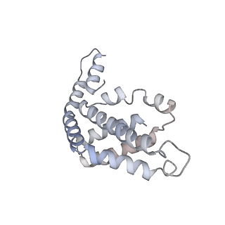 35569_8imm_a_v1-0
Rs2'I-Rs2'II, Rs1'I-Rs1'II, Rb'I-Rb'II cylinder in cyanobacterial phycobilisome from Anthocerotibacter panamensis (Cluster E)
