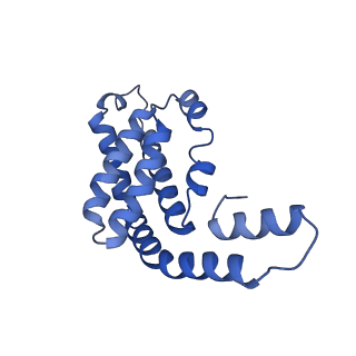 35569_8imm_b_v1-0
Rs2'I-Rs2'II, Rs1'I-Rs1'II, Rb'I-Rb'II cylinder in cyanobacterial phycobilisome from Anthocerotibacter panamensis (Cluster E)