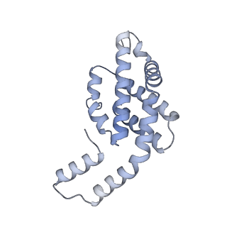 35569_8imm_e_v1-0
Rs2'I-Rs2'II, Rs1'I-Rs1'II, Rb'I-Rb'II cylinder in cyanobacterial phycobilisome from Anthocerotibacter panamensis (Cluster E)