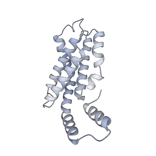 35569_8imm_h_v1-0
Rs2'I-Rs2'II, Rs1'I-Rs1'II, Rb'I-Rb'II cylinder in cyanobacterial phycobilisome from Anthocerotibacter panamensis (Cluster E)