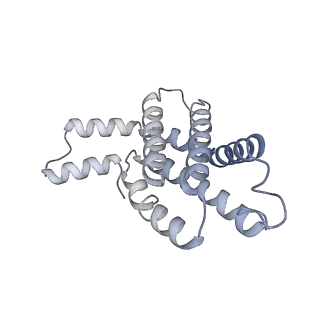 35569_8imm_i_v1-0
Rs2'I-Rs2'II, Rs1'I-Rs1'II, Rb'I-Rb'II cylinder in cyanobacterial phycobilisome from Anthocerotibacter panamensis (Cluster E)