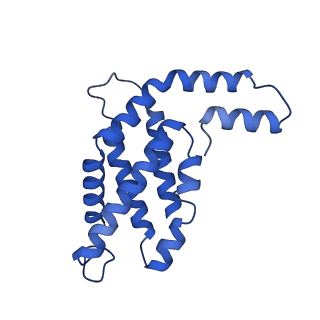 35569_8imm_k_v1-0
Rs2'I-Rs2'II, Rs1'I-Rs1'II, Rb'I-Rb'II cylinder in cyanobacterial phycobilisome from Anthocerotibacter panamensis (Cluster E)