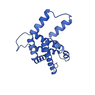 35570_8imn_L_v1-0
Rt1I-Rt1II, Rt2'I-Rt2'II, Rt3I-Rt3II cylinder in cyanobacterial phycobilisome from Anthocerotibacter panamensis (Cluster F)