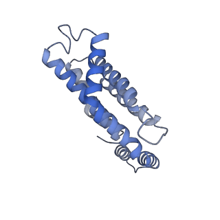 35570_8imn_T_v1-0
Rt1I-Rt1II, Rt2'I-Rt2'II, Rt3I-Rt3II cylinder in cyanobacterial phycobilisome from Anthocerotibacter panamensis (Cluster F)