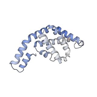35570_8imn_f_v1-0
Rt1I-Rt1II, Rt2'I-Rt2'II, Rt3I-Rt3II cylinder in cyanobacterial phycobilisome from Anthocerotibacter panamensis (Cluster F)