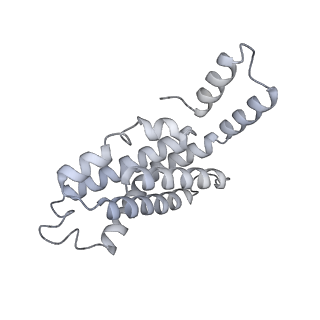 35570_8imn_h_v1-0
Rt1I-Rt1II, Rt2'I-Rt2'II, Rt3I-Rt3II cylinder in cyanobacterial phycobilisome from Anthocerotibacter panamensis (Cluster F)