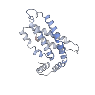 35570_8imn_j_v1-0
Rt1I-Rt1II, Rt2'I-Rt2'II, Rt3I-Rt3II cylinder in cyanobacterial phycobilisome from Anthocerotibacter panamensis (Cluster F)