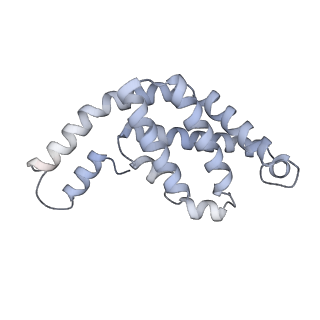 35571_8imo_A_v1-0
Rt1'I-Rt1'II, Rt2I-Rt2II, Rt3'I-Rt3'II cylinder in cyanobacterial phycobilisome from Anthocerotibacter panamensis (Cluster G)