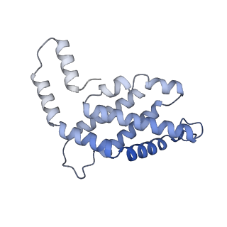 35571_8imo_I_v1-0
Rt1'I-Rt1'II, Rt2I-Rt2II, Rt3'I-Rt3'II cylinder in cyanobacterial phycobilisome from Anthocerotibacter panamensis (Cluster G)
