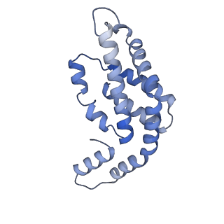 35571_8imo_N_v1-0
Rt1'I-Rt1'II, Rt2I-Rt2II, Rt3'I-Rt3'II cylinder in cyanobacterial phycobilisome from Anthocerotibacter panamensis (Cluster G)