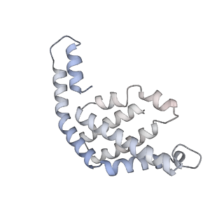35571_8imo_P_v1-0
Rt1'I-Rt1'II, Rt2I-Rt2II, Rt3'I-Rt3'II cylinder in cyanobacterial phycobilisome from Anthocerotibacter panamensis (Cluster G)