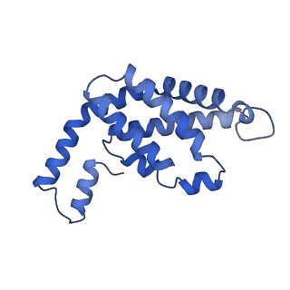 35571_8imo_S_v1-0
Rt1'I-Rt1'II, Rt2I-Rt2II, Rt3'I-Rt3'II cylinder in cyanobacterial phycobilisome from Anthocerotibacter panamensis (Cluster G)