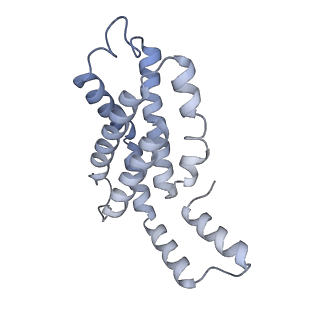 35571_8imo_V_v1-0
Rt1'I-Rt1'II, Rt2I-Rt2II, Rt3'I-Rt3'II cylinder in cyanobacterial phycobilisome from Anthocerotibacter panamensis (Cluster G)