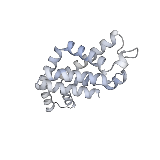 35571_8imo_a_v1-0
Rt1'I-Rt1'II, Rt2I-Rt2II, Rt3'I-Rt3'II cylinder in cyanobacterial phycobilisome from Anthocerotibacter panamensis (Cluster G)