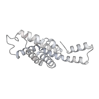 35571_8imo_c_v1-0
Rt1'I-Rt1'II, Rt2I-Rt2II, Rt3'I-Rt3'II cylinder in cyanobacterial phycobilisome from Anthocerotibacter panamensis (Cluster G)