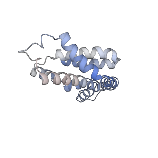 35571_8imo_f_v1-0
Rt1'I-Rt1'II, Rt2I-Rt2II, Rt3'I-Rt3'II cylinder in cyanobacterial phycobilisome from Anthocerotibacter panamensis (Cluster G)
