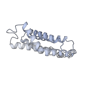 35571_8imo_g_v1-0
Rt1'I-Rt1'II, Rt2I-Rt2II, Rt3'I-Rt3'II cylinder in cyanobacterial phycobilisome from Anthocerotibacter panamensis (Cluster G)