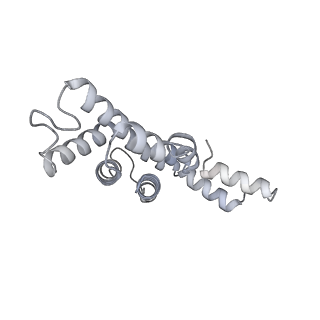 35571_8imo_k_v1-0
Rt1'I-Rt1'II, Rt2I-Rt2II, Rt3'I-Rt3'II cylinder in cyanobacterial phycobilisome from Anthocerotibacter panamensis (Cluster G)