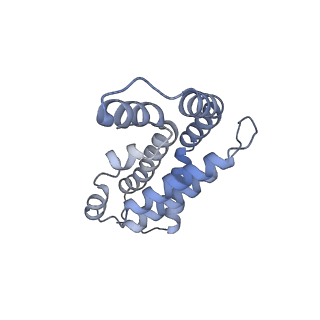 35571_8imo_l_v1-0
Rt1'I-Rt1'II, Rt2I-Rt2II, Rt3'I-Rt3'II cylinder in cyanobacterial phycobilisome from Anthocerotibacter panamensis (Cluster G)