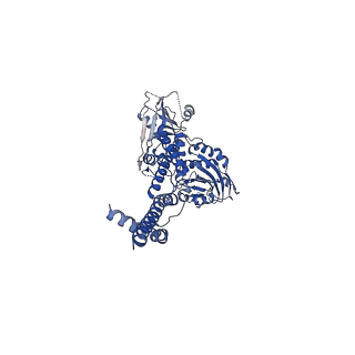 35575_8imx_S_v1-1
Cryo-EM structure of GPI-T with a chimeric GPI-anchored protein