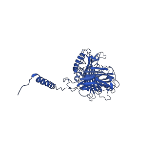 35575_8imx_T_v1-1
Cryo-EM structure of GPI-T with a chimeric GPI-anchored protein