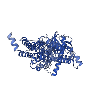 35576_8imy_G_v1-1
Cryo-EM structure of GPI-T (inactive mutant) with GPI and proULBP2, a proprotein substrate