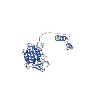 35576_8imy_K_v1-1
Cryo-EM structure of GPI-T (inactive mutant) with GPI and proULBP2, a proprotein substrate
