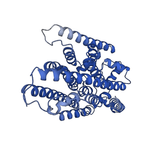 35576_8imy_U_v1-1
Cryo-EM structure of GPI-T (inactive mutant) with GPI and proULBP2, a proprotein substrate