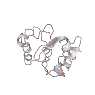 6584_5imq_2_v1-6
Structure of ribosome bound to cofactor at 3.8 angstrom resolution