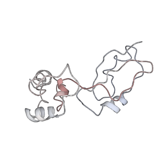 6584_5imq_3_v1-6
Structure of ribosome bound to cofactor at 3.8 angstrom resolution