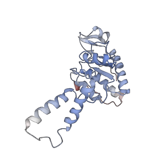 6584_5imq_F_v1-6
Structure of ribosome bound to cofactor at 3.8 angstrom resolution