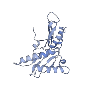6584_5imq_G_v1-6
Structure of ribosome bound to cofactor at 3.8 angstrom resolution